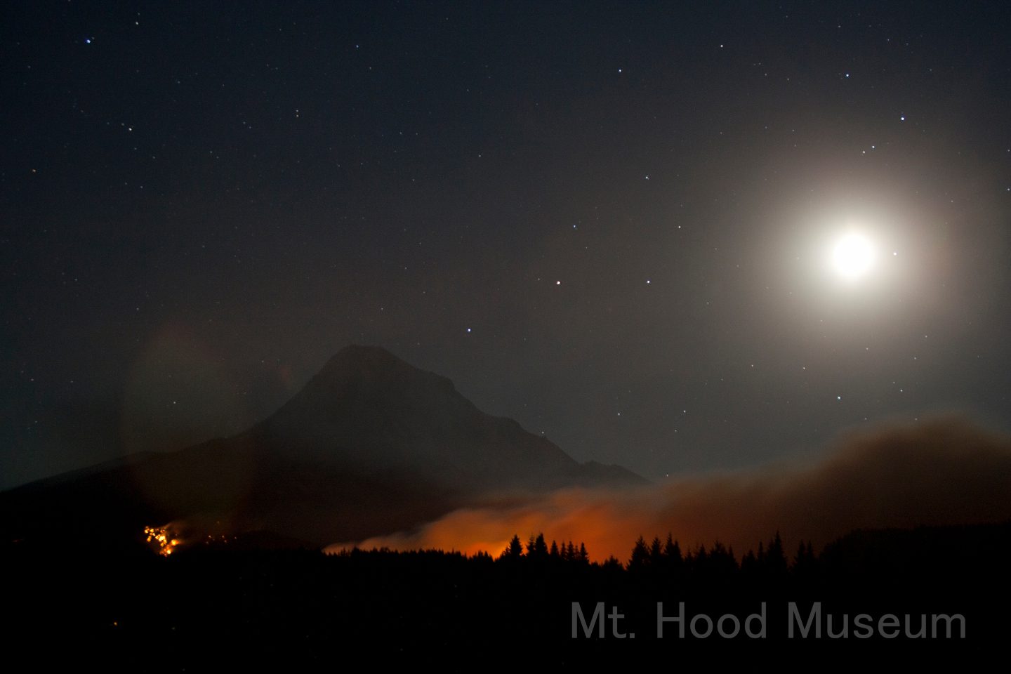 Dollar Forest Fire near Cloud Cap