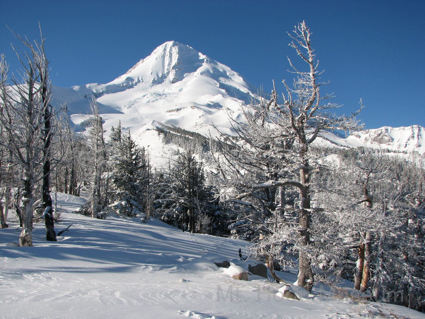 Mount Hood (2)