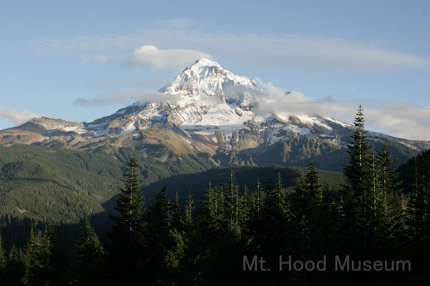 Mount Hood from Lolo Pass