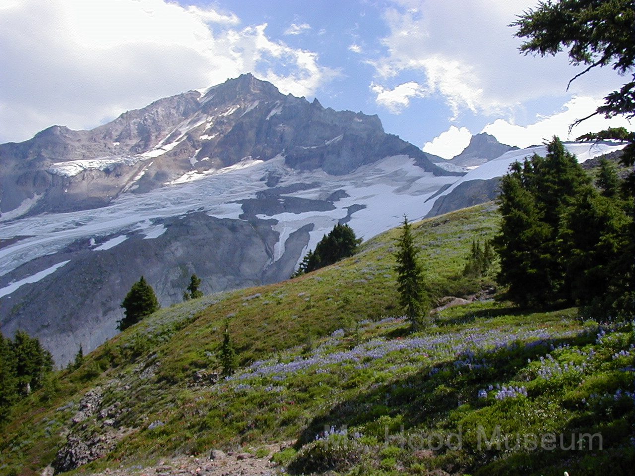 North Side Mount Hood