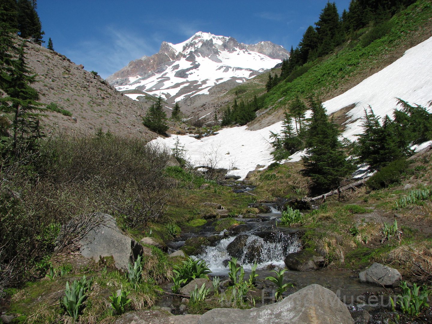 Zig Zag Canyon