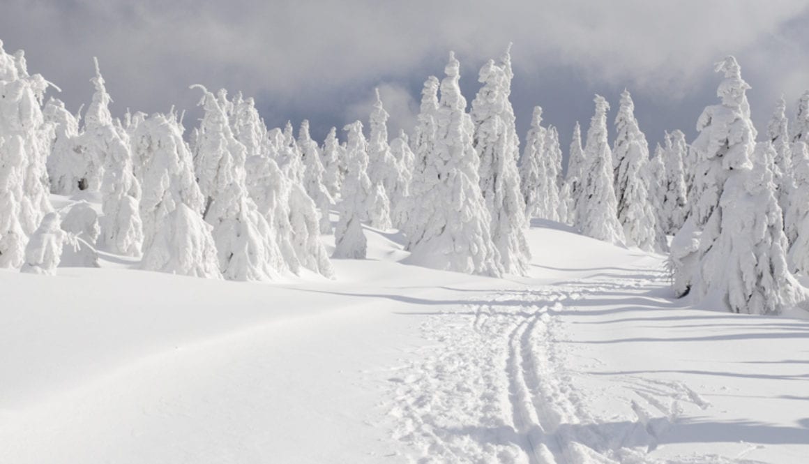 trail-skiing