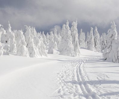 trail-skiing
