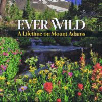 Ever Wild