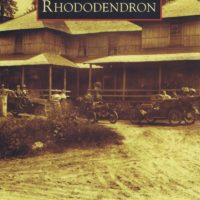 Rhododendron